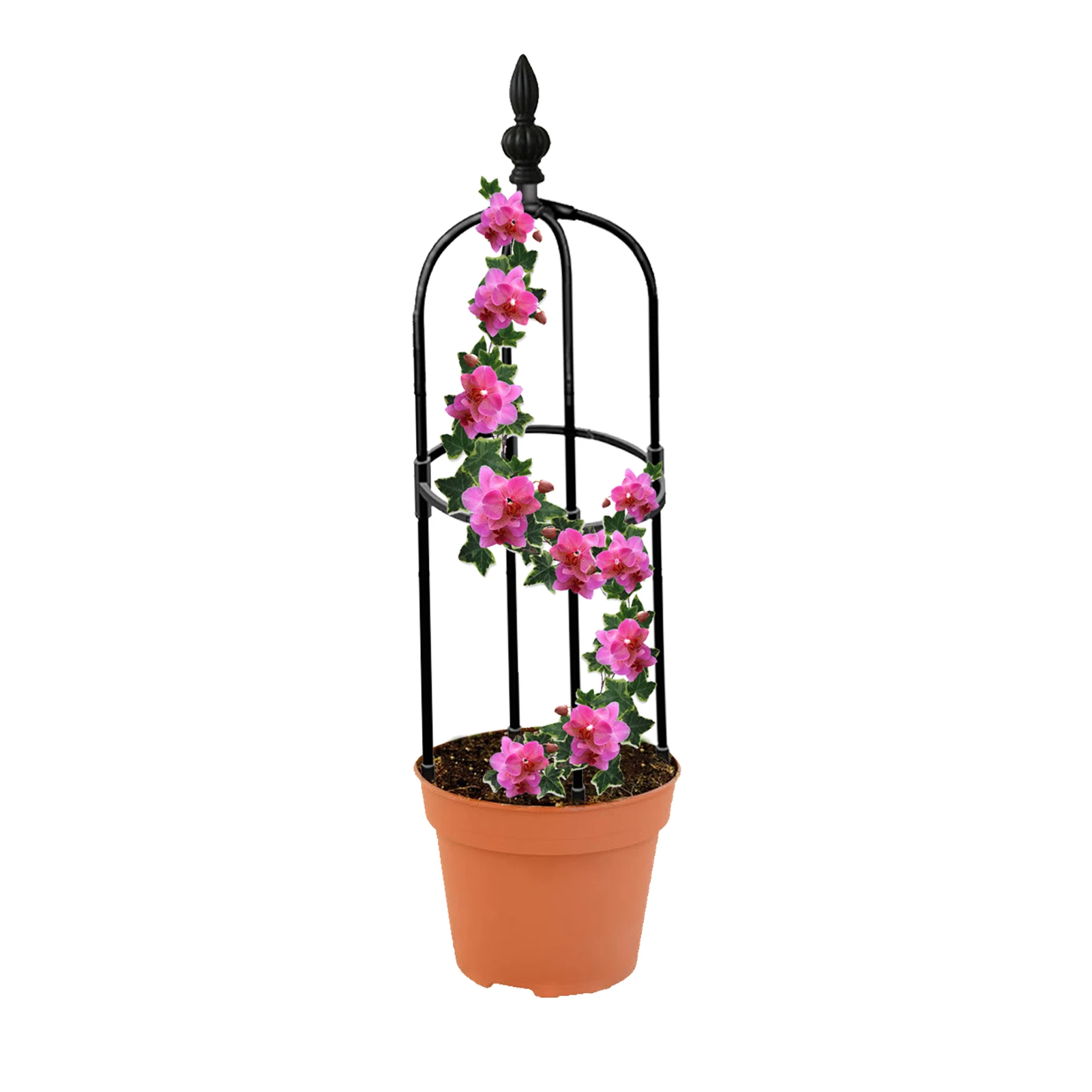 Obelisk Plant Climbing Plant Vine Rack Plant Potted Support Frame Coated Steel Flower Vegetables Decorative Trellis Bracket
Obelisk Plant Climbing Plant Vine Rack Plant Potted Support Frame Coated Steel Flower Vegetables Decorative Trellis Bracket