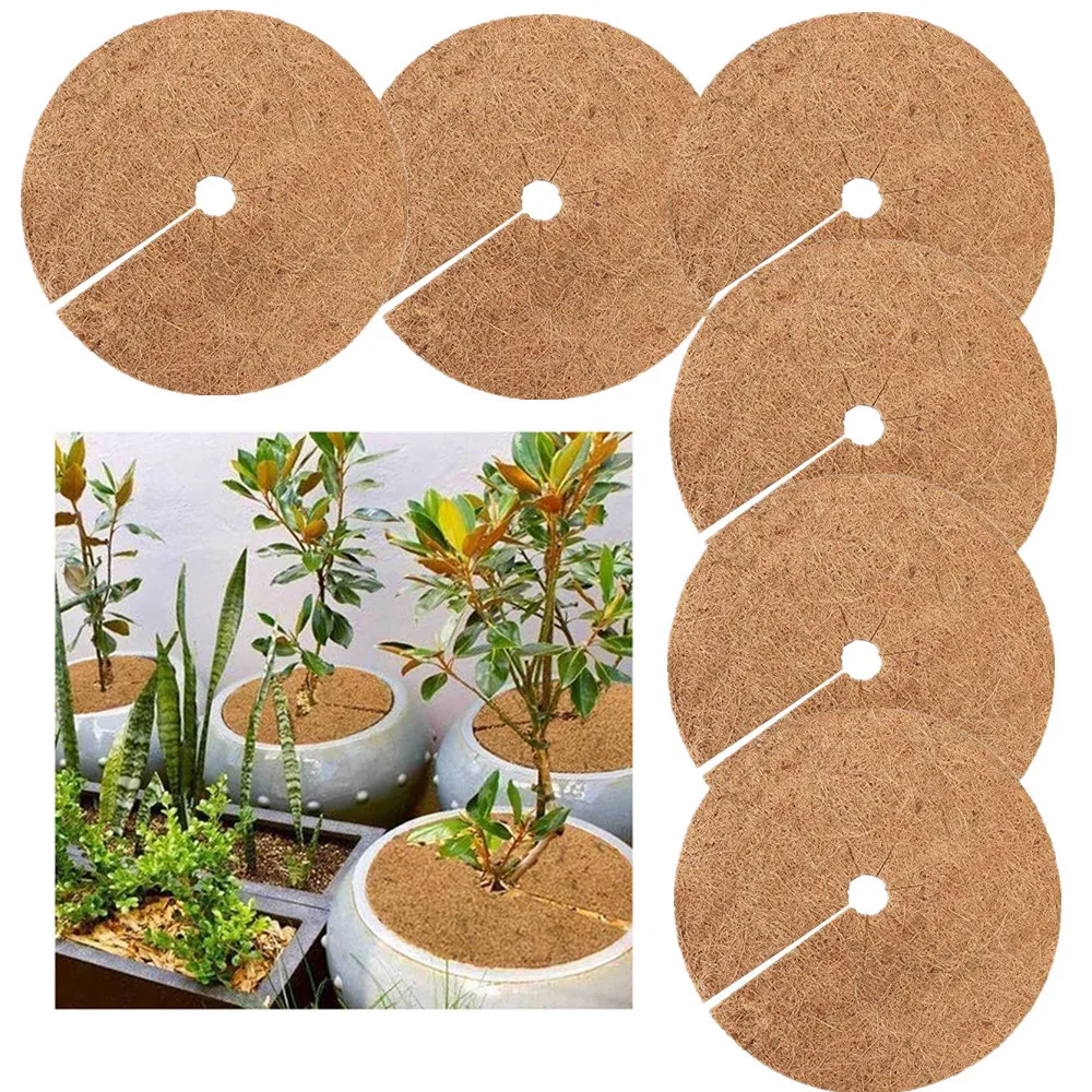 6pcs Flowerpot coconut silk mat round hole in the middle to protect the roots of plants from freezing and moisturizing
6pcs Flowerpot coconut silk mat round hole in the middle to protect the roots of plants from freezing and moisturizing