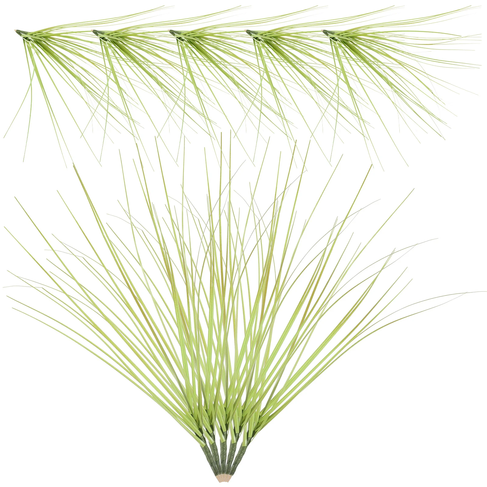 15 Pcs Bright Green Simulated Reed Grass Plants Lifelike Flower Vase Filler Silk Cloth
15 Pcs Bright Green Simulated Reed Grass Plants Lifelike Flower Vase Filler Silk Cloth