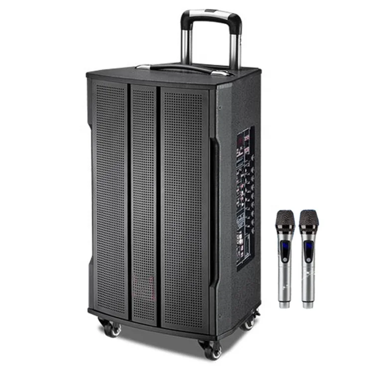 2021 Новое поступление Guangzhou Good Sound 12A/9A перезаряжаемый 10-дюймовый деревянный динамик на колесиках с двумя беспроводными микрофонами
2021 Новое поступление Guangzhou Good Sound 12A/9A перезаряжаемый 10-дюймовый деревянный динамик на колесиках с двумя беспроводными микрофонами