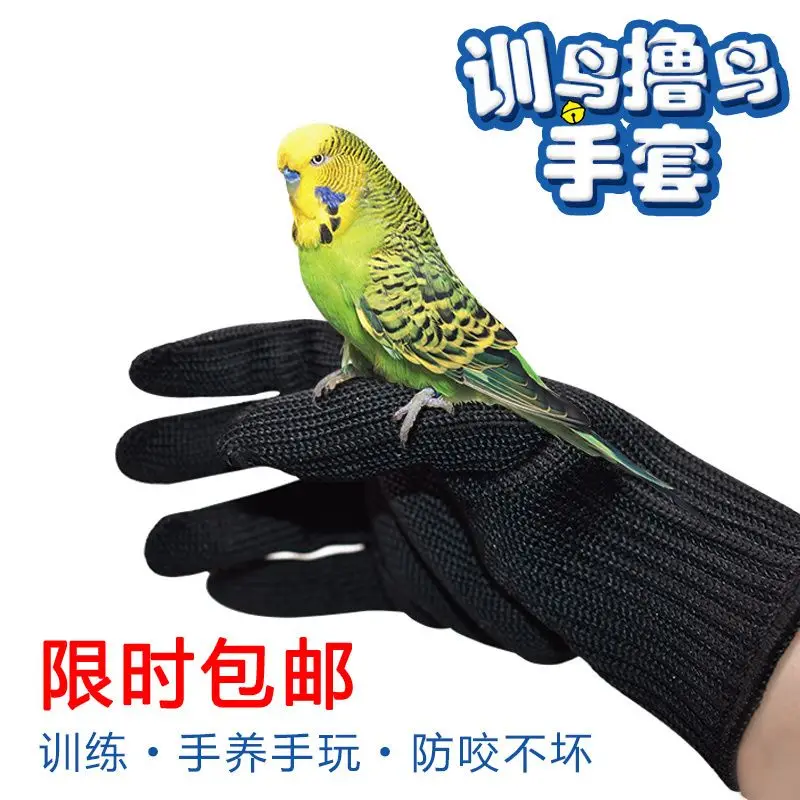 Parrot anti bite gloves Pet bird catching and flying gloves Parrot training bird Steel wire gloves Bird accessories supplies
Parrot anti bite gloves Pet bird catching and flying gloves Parrot training bird Steel wire gloves Bird accessories supplies