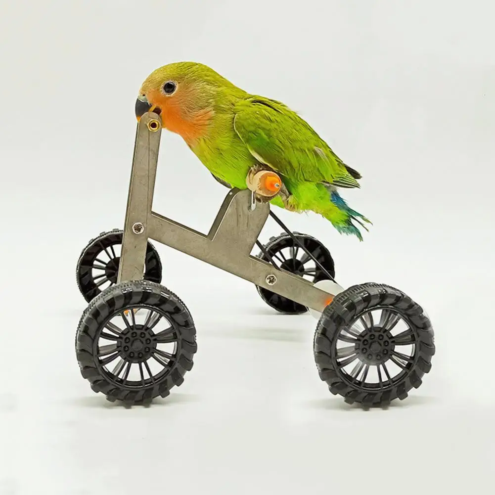 Parakeet Bicycle Toy Parrot Training Bicycle Toy Fun Bird Foot Exercising Tool for Cockatiels Conures Parakeets Mini Metal
Parakeet Bicycle Toy Parrot Training Bicycle Toy Fun Bird Foot Exercising Tool for Cockatiels Conures Parakeets Mini Metal