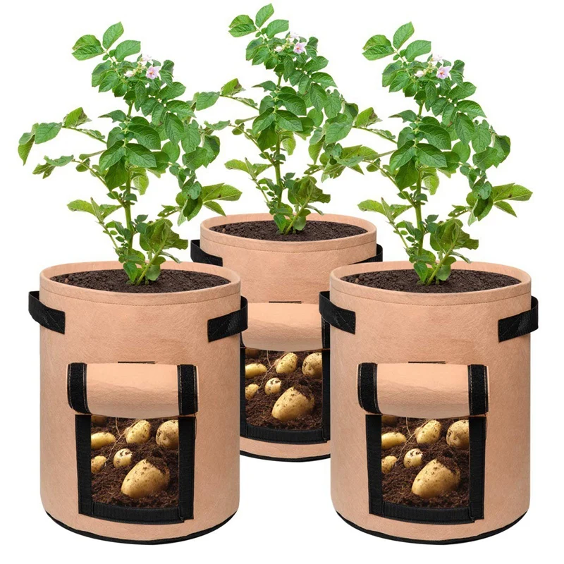 Potato Grow Bags 7 Gallon Garden Planting Bag Aeration Fabric Pot With Handles For Planter 3 Pack
Potato Grow Bags 7 Gallon Garden Planting Bag Aeration Fabric Pot With Handles For Planter 3 Pack
