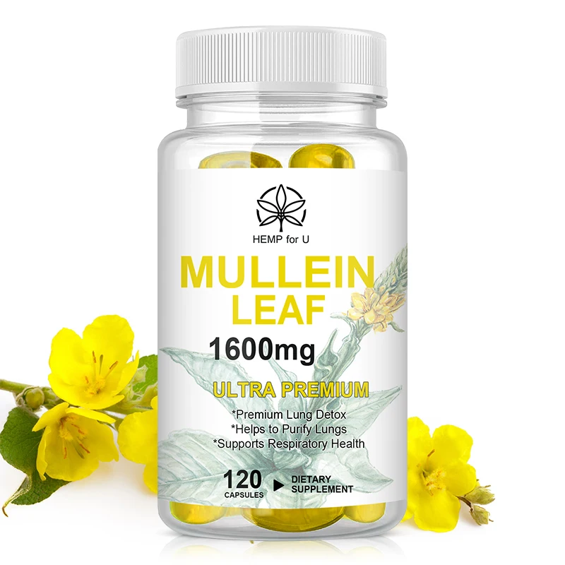 HFU Herbal Organic Mullein Capsules Clear Airway Mucus Protect the Respiratory System Clean the Lungs Support Lung Health Detox
HFU Herbal Organic Mullein Capsules Clear Airway Mucus Protect the Respiratory System Clean the Lungs Support Lung Health Detox