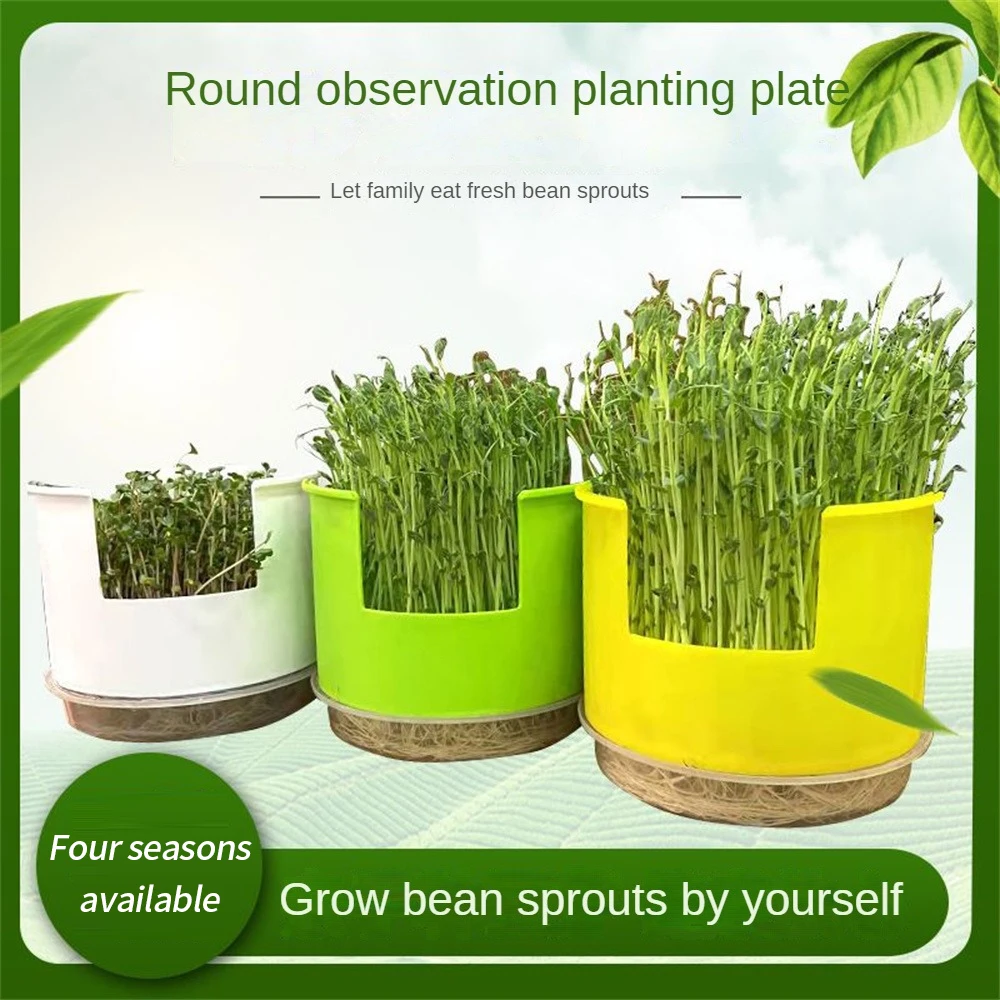 

Simple Bean Sprouts Growing Tray Seed Seedling Starter Dish Greenhouse Hydroponics Plant Grass Germination Nursery Pot Grow Box