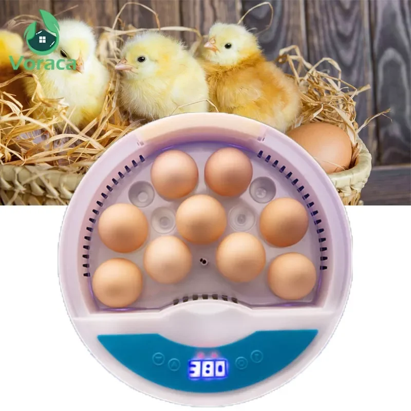 Incubator Automatic Digital Brooder Poultry Tool Chicken Hatchery Machine One-button Duck Home Egg Breeder Heating 
Incubator Automatic Digital Brooder Poultry Tool Chicken Hatchery Machine One-button Duck Home Egg Breeder Heating
