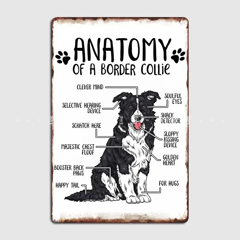 Anatomy Of A Border Collie Poster Metal Plaque Cinema Garage Custom Wall Mural Painting Tin Sign Poster
Anatomy Of A Border Collie Poster Metal Plaque Cinema Garage Custom Wall Mural Painting Tin Sign Poster