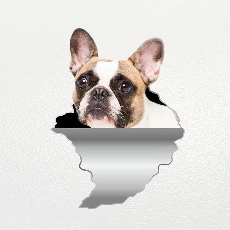 S62221# Car Sticker Boston Terier Dog Pet Animal Waterproof Vinyl Decal Car Accessories Decor Pegatinas Para Coche
S62221# Car Sticker Boston Terier Dog Pet Animal Waterproof Vinyl Decal Car Accessories Decor Pegatinas Para Coche