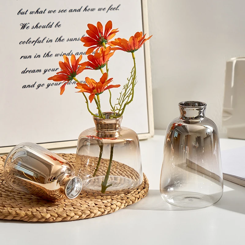 Home Decor Modern Glass Vase Golden Silver Flower Vases Arrangements Minimalist Decor Living Room Decoration Accessories Gifts
Home Decor Modern Glass Vase Golden Silver Flower Vases Arrangements Minimalist Decor Living Room Decoration Accessories Gifts
