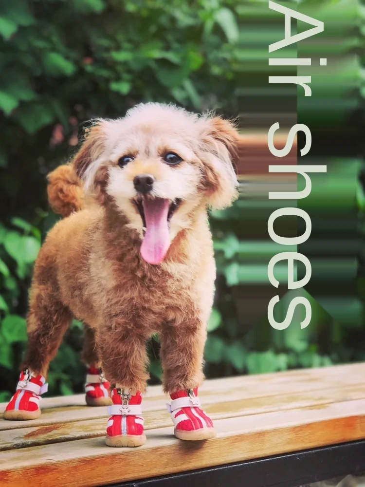 Professional Dog Shoes Teddy Four Seasons Set 4 PCs Small And Medium-Sized Dogs Universal No Foot Winter Pet Loss Autumn
Professional Dog Shoes Teddy Four Seasons Set 4 PCs Small And Medium-Sized Dogs Universal No Foot Winter Pet Loss Autumn