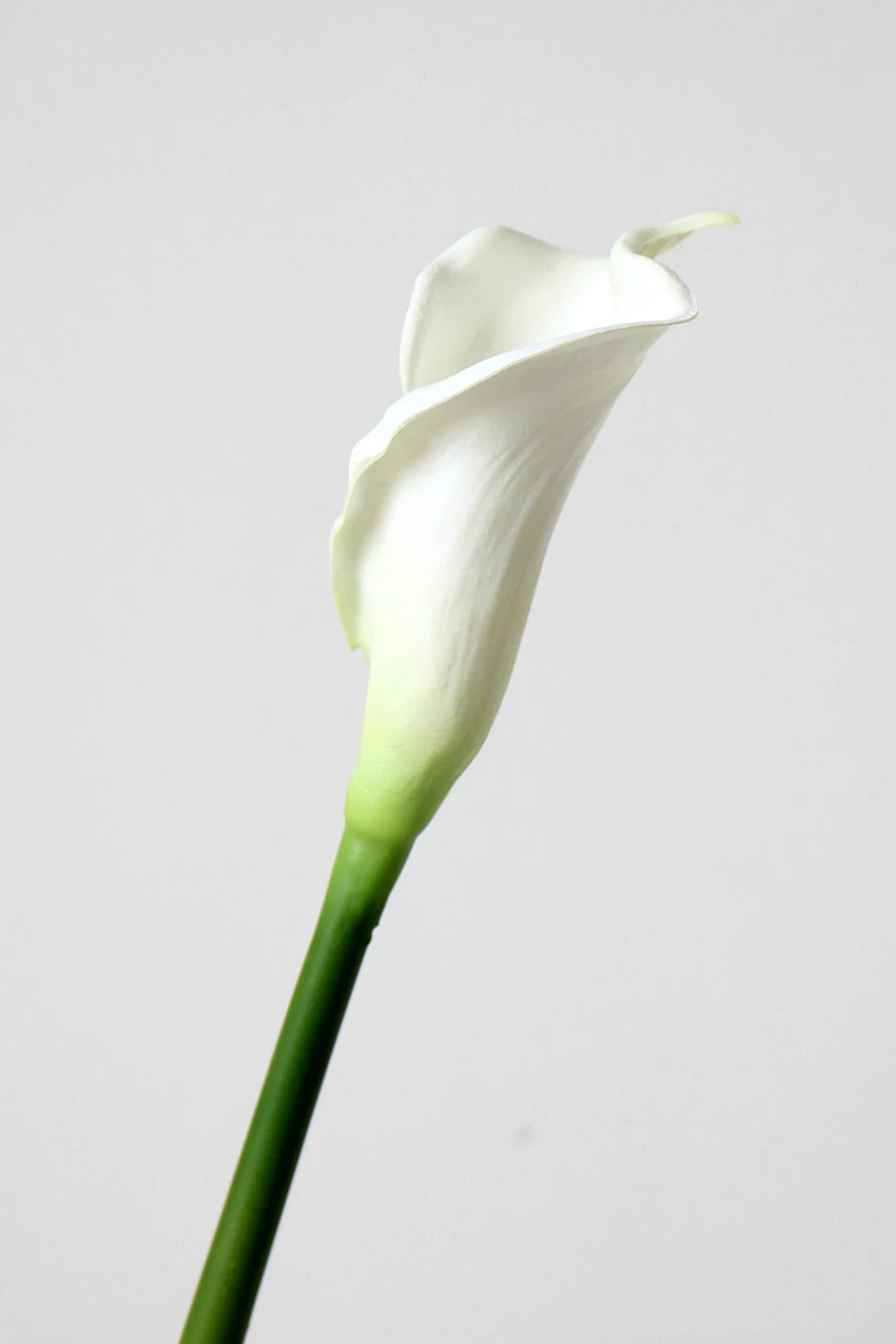Искусственная калла Лилия белая
Искусственная калла Лилия белая