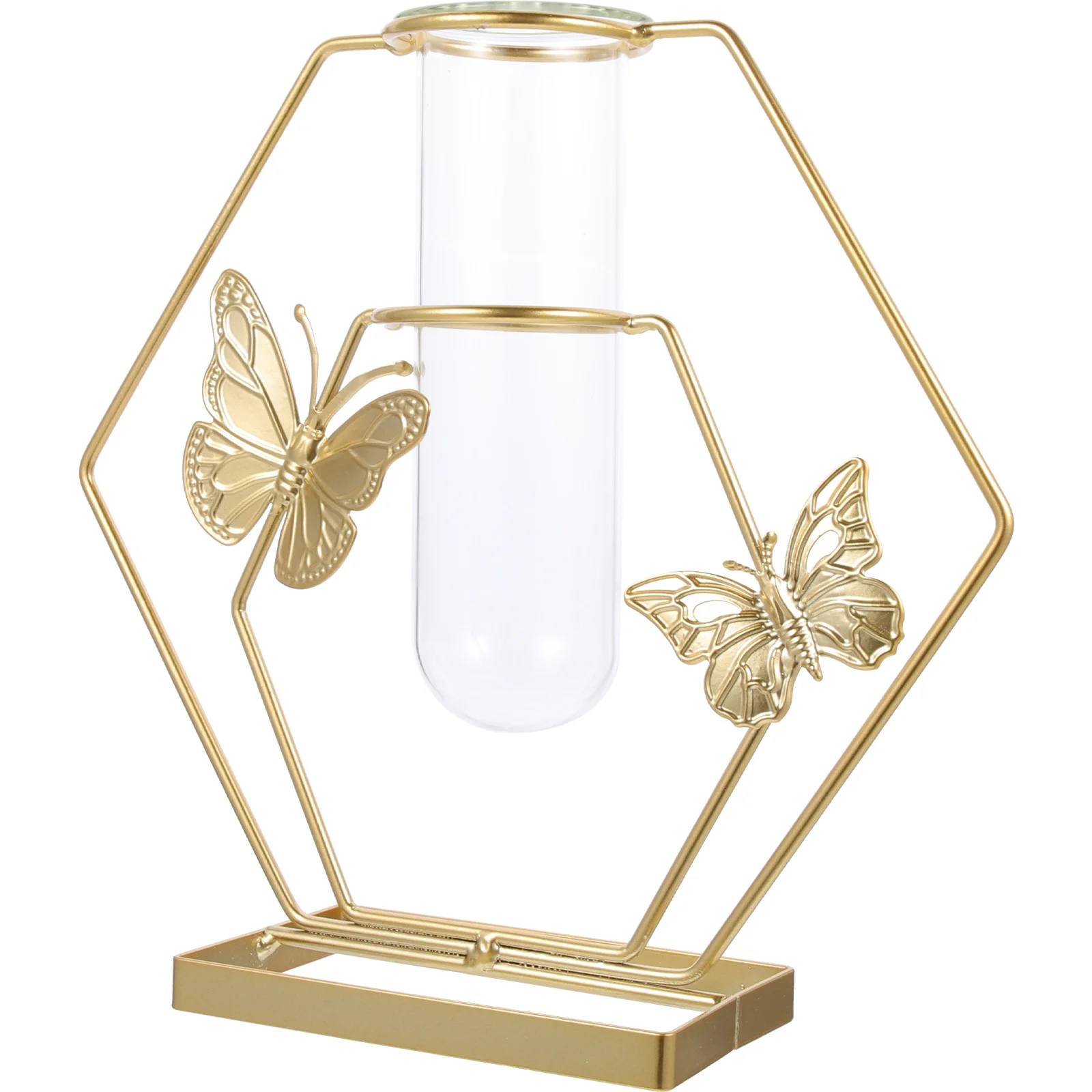 Vase Planter Tube Terrarium Tubes Metal Air Desk Test Hanging Propagating Hydroponics Stand Holder Hydroponic Terrariums Desktop
Vase Planter Tube Terrarium Tubes Metal Air Desk Test Hanging Propagating Hydroponics Stand Holder Hydroponic Terrariums Desktop