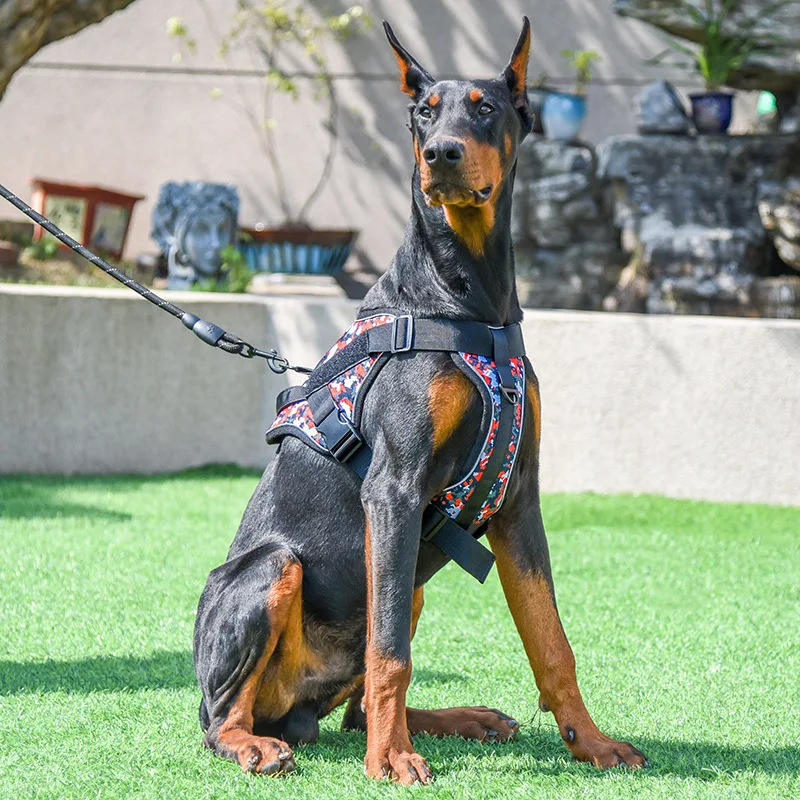 Tactical Dog Harness Leash Metal Buckle with Reflective Strips German Shepherd Pet Large Dogs Military Training K9 Military Vest
Tactical Dog Harness Leash Metal Buckle with Reflective Strips German Shepherd Pet Large Dogs Military Training K9 Military Vest