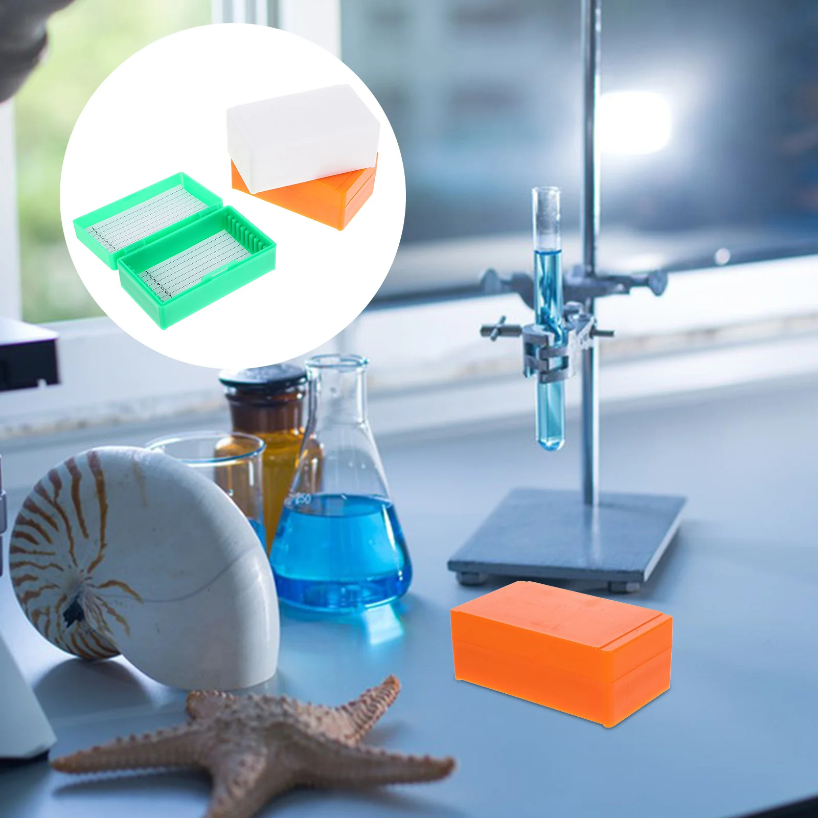 3pcs Microscope Slide Organizers Reusable Specimens Storage Box Laboratory Slides Holder
3pcs Microscope Slide Organizers Reusable Specimens Storage Box Laboratory Slides Holder
