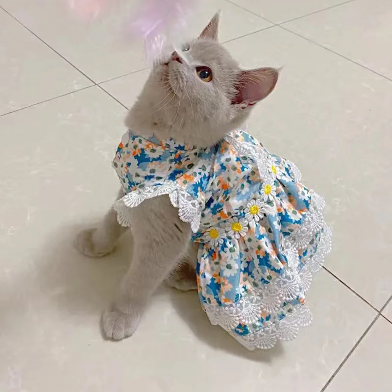 Cat Puppy Princess Dress with Lace Summer Sweet Pet Clothes Skirt for Cats Sphynx Kitten Dresses Coat Clothing ropa para gato
Cat Puppy Princess Dress with Lace Summer Sweet Pet Clothes Skirt for Cats Sphynx Kitten Dresses Coat Clothing ropa para gato