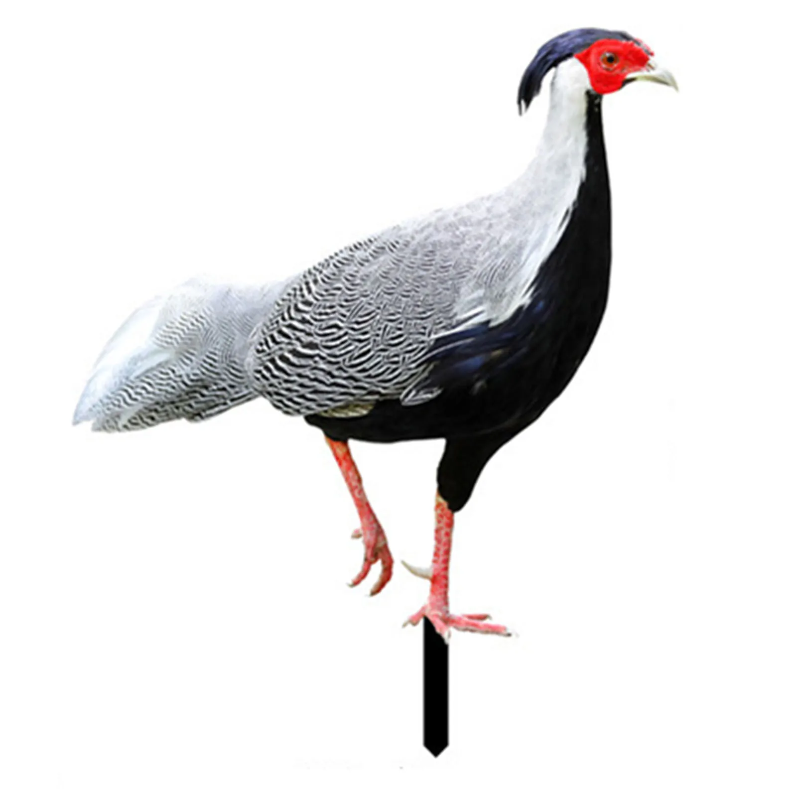 Chicken Decoration Yard Stakes Backyards Stake Decor Acrylic Acrylic Stake Lawn Decoration Outdoor Yard Stakes
Chicken Decoration Yard Stakes Backyards Stake Decor Acrylic Acrylic Stake Lawn Decoration Outdoor Yard Stakes