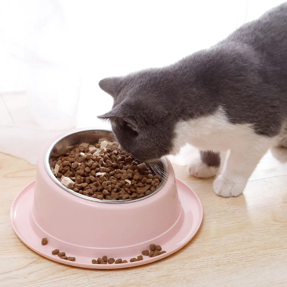 Cat Feeder Slope Anti-Slip Food Bowl for Cats Pet Accessories Puppy Dog Bowl Stainless Steel Container for Kitten Pet Supplies
Cat Feeder Slope Anti-Slip Food Bowl for Cats Pet Accessories Puppy Dog Bowl Stainless Steel Container for Kitten Pet Supplies