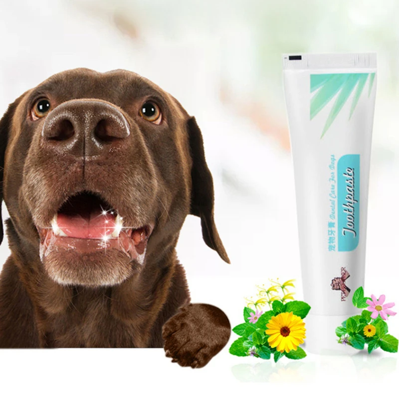 Pet Toothbrush Kit With Soft Dog Finger Toothbrush Pet Multi-angle Cleaning Tooth Dog Cat Dental Care ToothBrushes Set For Pets
Pet Toothbrush Kit With Soft Dog Finger Toothbrush Pet Multi-angle Cleaning Tooth Dog Cat Dental Care ToothBrushes Set For Pets