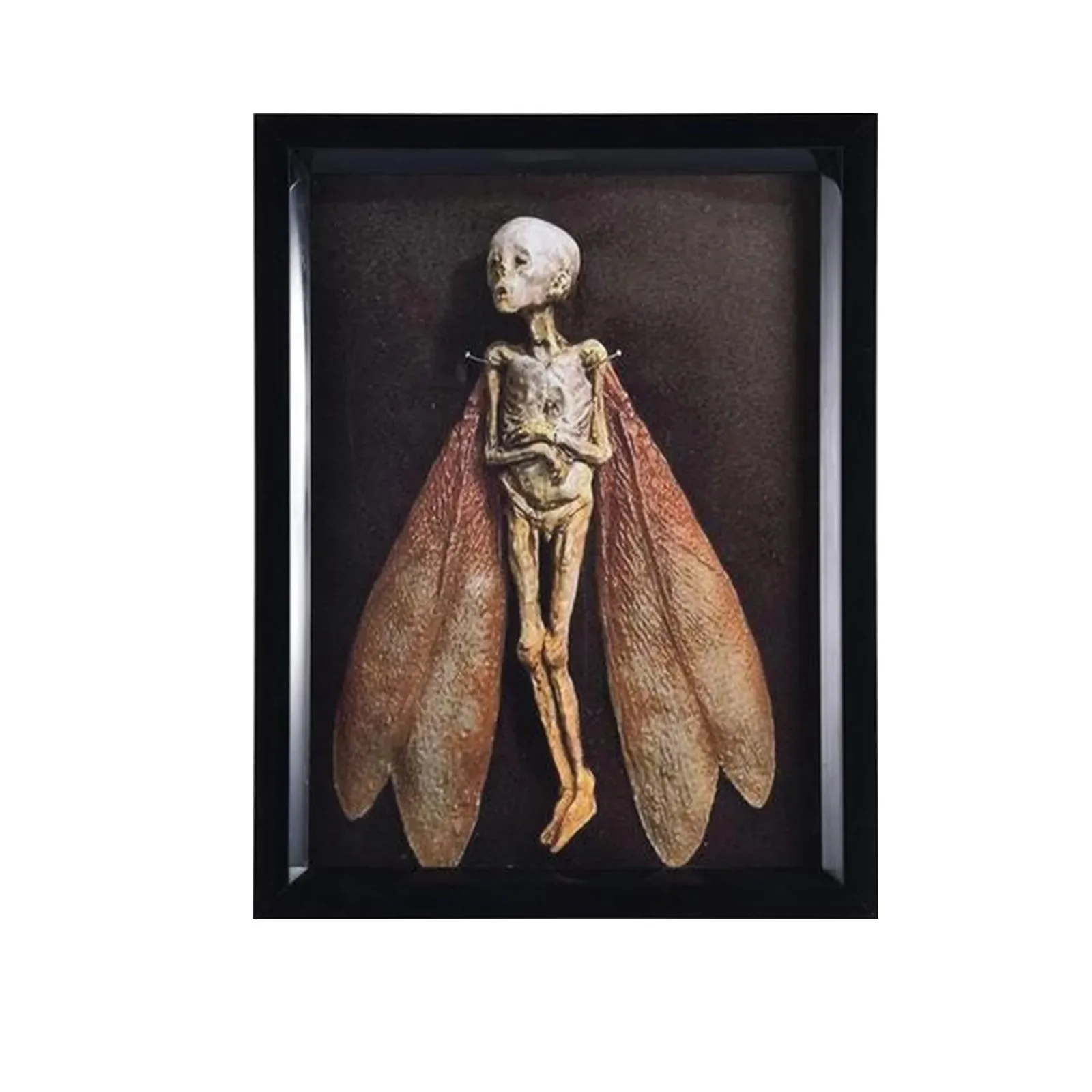 Cursed Items Dead Shadow Box Display Handmade Creepy Mummified Corpse Art Ornament Elegant Realistic Decoration Outdoor
Cursed Items Dead Shadow Box Display Handmade Creepy Mummified Corpse Art Ornament Elegant Realistic Decoration Outdoor