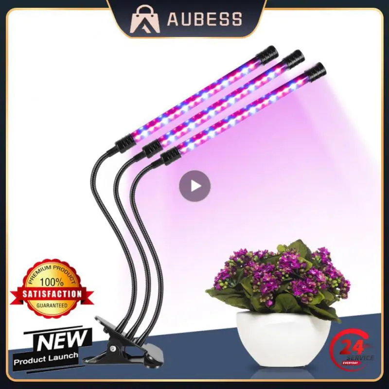 waterproof LED Plant Growth Light Full Spectrum Grow Bulb Indoor For Hydroponic Plant led plant growing lamp led grow light
waterproof LED Plant Growth Light Full Spectrum Grow Bulb Indoor For Hydroponic Plant led plant growing lamp led grow light