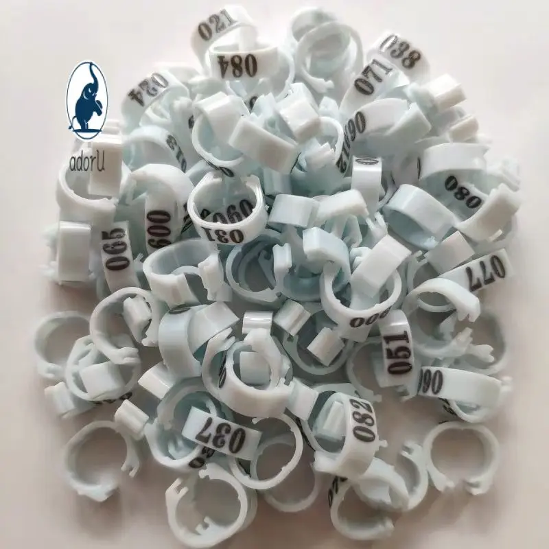 Durable Convenient Pigeon Supplies Wide Application Lightweight Bird Leg Rings For Pigeons 8mm Inner Diameter Parrot Clip Rings
Durable Convenient Pigeon Supplies Wide Application Lightweight Bird Leg Rings For Pigeons 8mm Inner Diameter Parrot Clip Rings