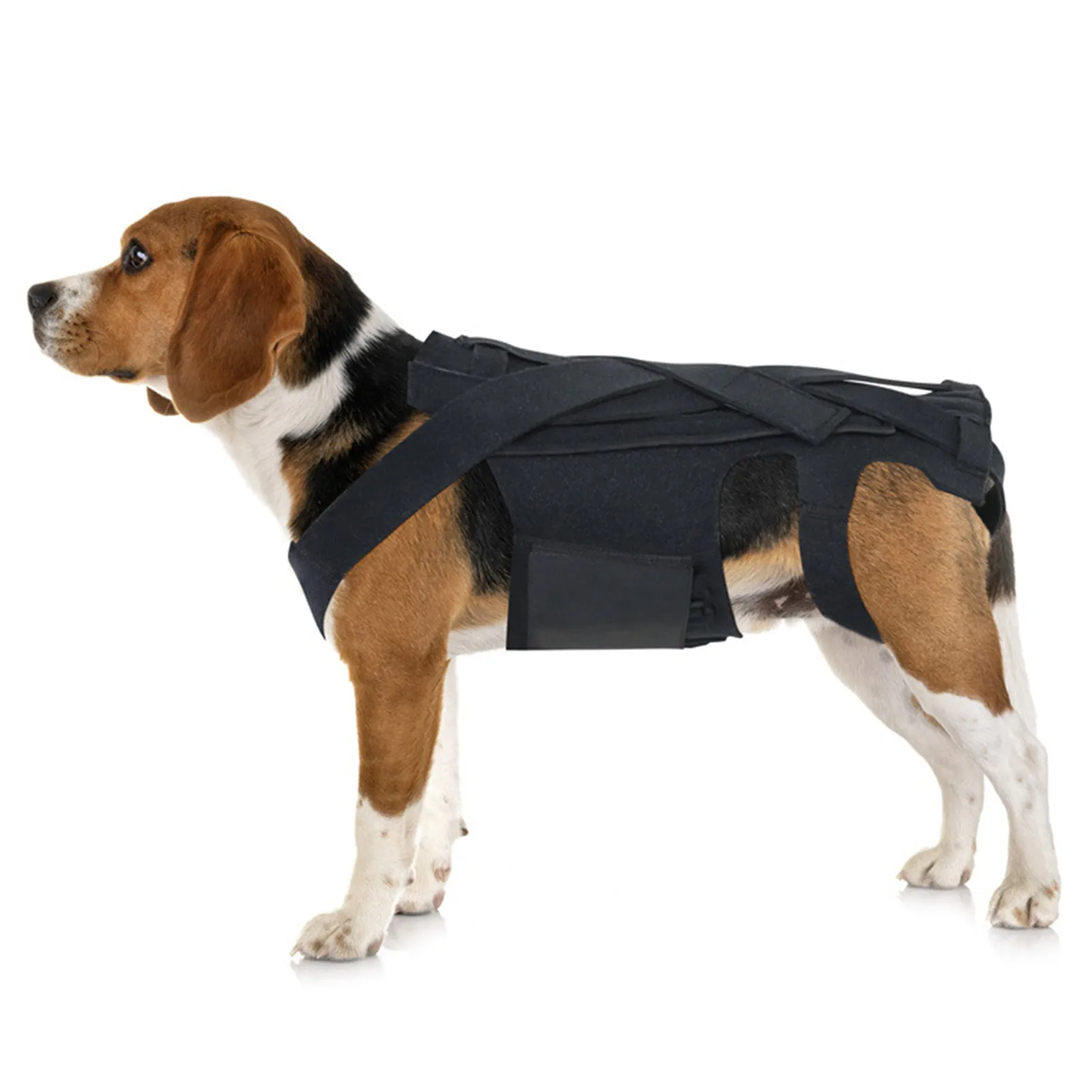 Dog Back Brace Breathable Pet Back Bracer For IVDD Back Support Rehabilitation Easy To Wear And Off Black
Dog Back Brace Breathable Pet Back Bracer For IVDD Back Support Rehabilitation Easy To Wear And Off Black