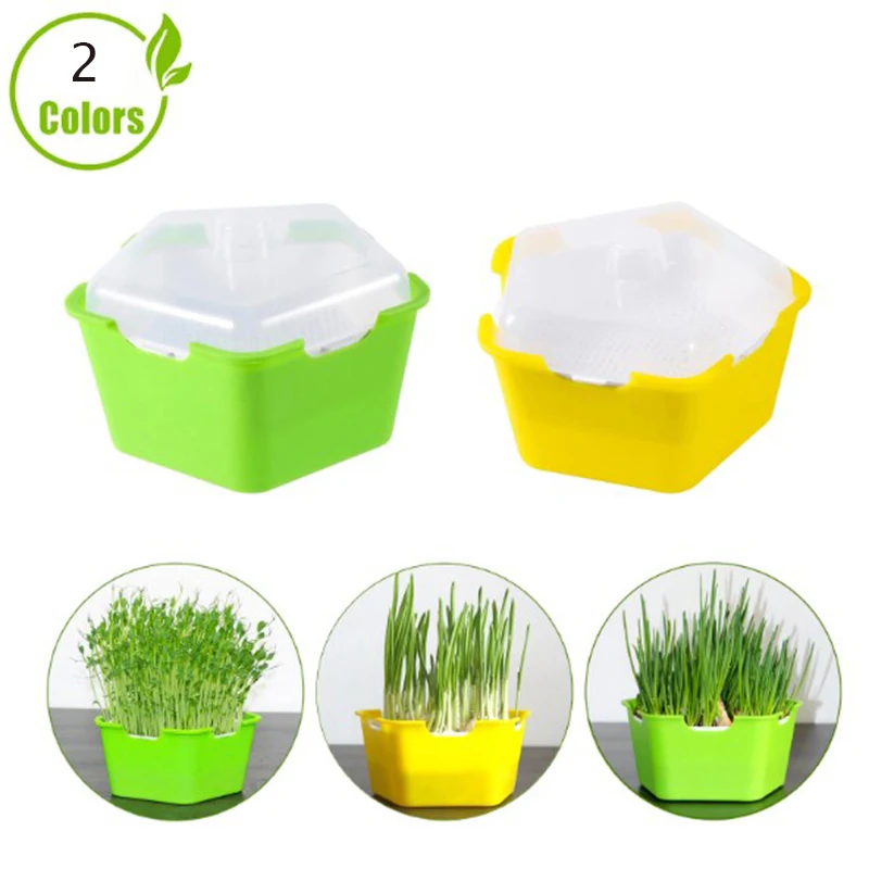 Plastic Hydroponic Sprout Planting Pot Box Bean Pea Seed Sprouter Seedling Tray Wheatgrass Cat Grass Nursery Growing Germination
Plastic Hydroponic Sprout Planting Pot Box Bean Pea Seed Sprouter Seedling Tray Wheatgrass Cat Grass Nursery Growing Germination