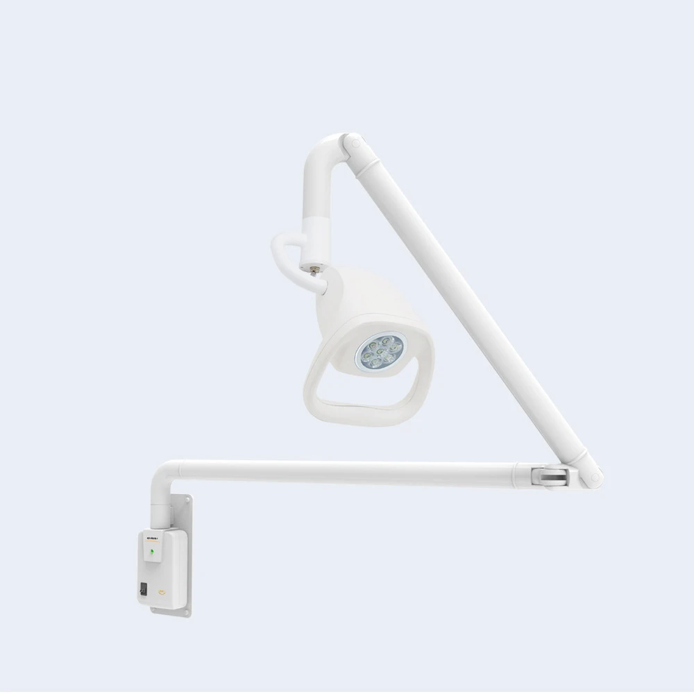21W LED Wall Mounted ENT Dental Medical Veterinary Examination Surgical Light With CE ISO
21W LED Wall Mounted ENT Dental Medical Veterinary Examination Surgical Light With CE ISO