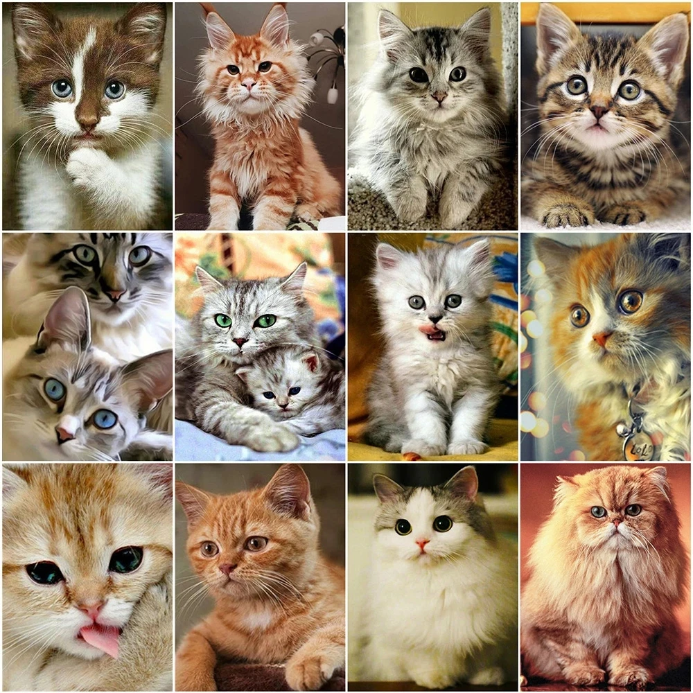 Diamond Embroidery Cat 5D Diy Diamond Painting Animals Full Diamond Mosai Cross Stitch Kit Handmade Home Decor
Diamond Embroidery Cat 5D Diy Diamond Painting Animals Full Diamond Mosai Cross Stitch Kit Handmade Home Decor