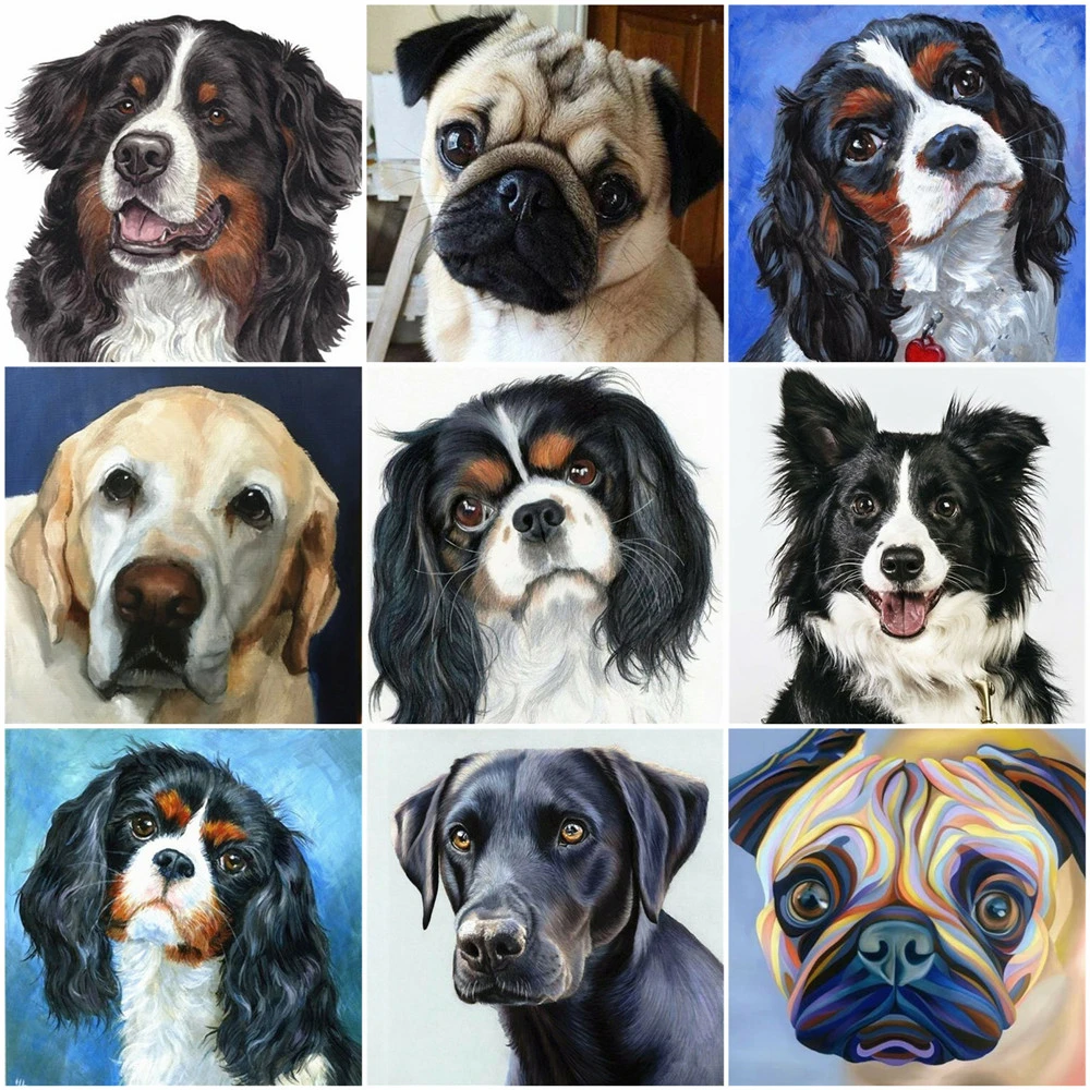 5D Стразы Вышивка Животные Собака алмазная живопись Набор для вышивки крестиком ручная инкрустированная картина детский дом настенное укра...
5D Стразы Вышивка Животные Собака алмазная живопись Набор для вышивки крестиком ручная инкрустированная картина детский дом настенное укра...