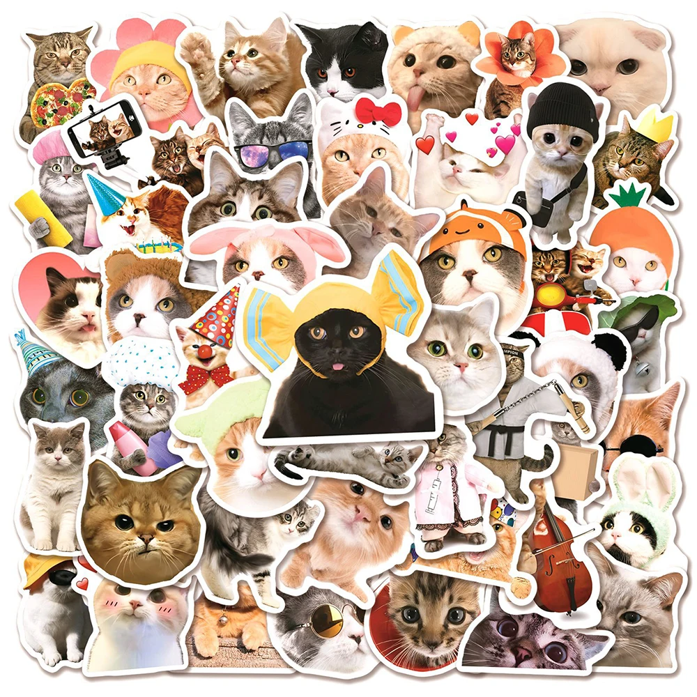 10/30/50PCS Cat Meme Animal Funny Stickers Decals Kids Toy DIY Diary Suitcase Scrapbook Laptop Bike Graffiti Child Sticker Gift
10/30/50PCS Cat Meme Animal Funny Stickers Decals Kids Toy DIY Diary Suitcase Scrapbook Laptop Bike Graffiti Child Sticker Gift