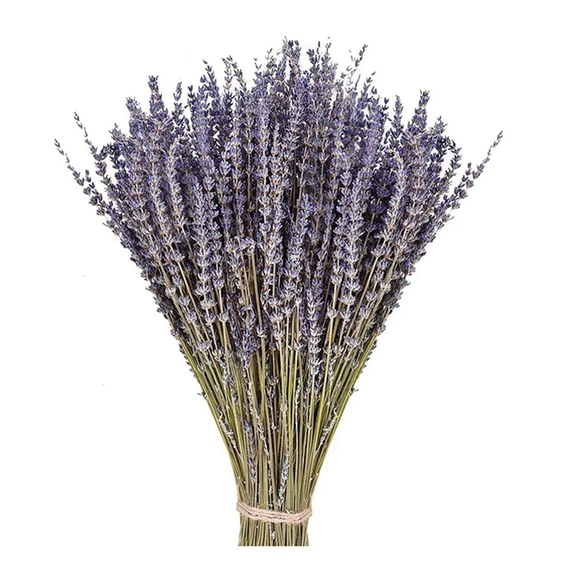 250G Natural Dried Flower Bouquet Natural Dried Lavender Bouquet for Party Home Wedding Decoration About 200Pcs
250G Natural Dried Flower Bouquet Natural Dried Lavender Bouquet for Party Home Wedding Decoration About 200Pcs