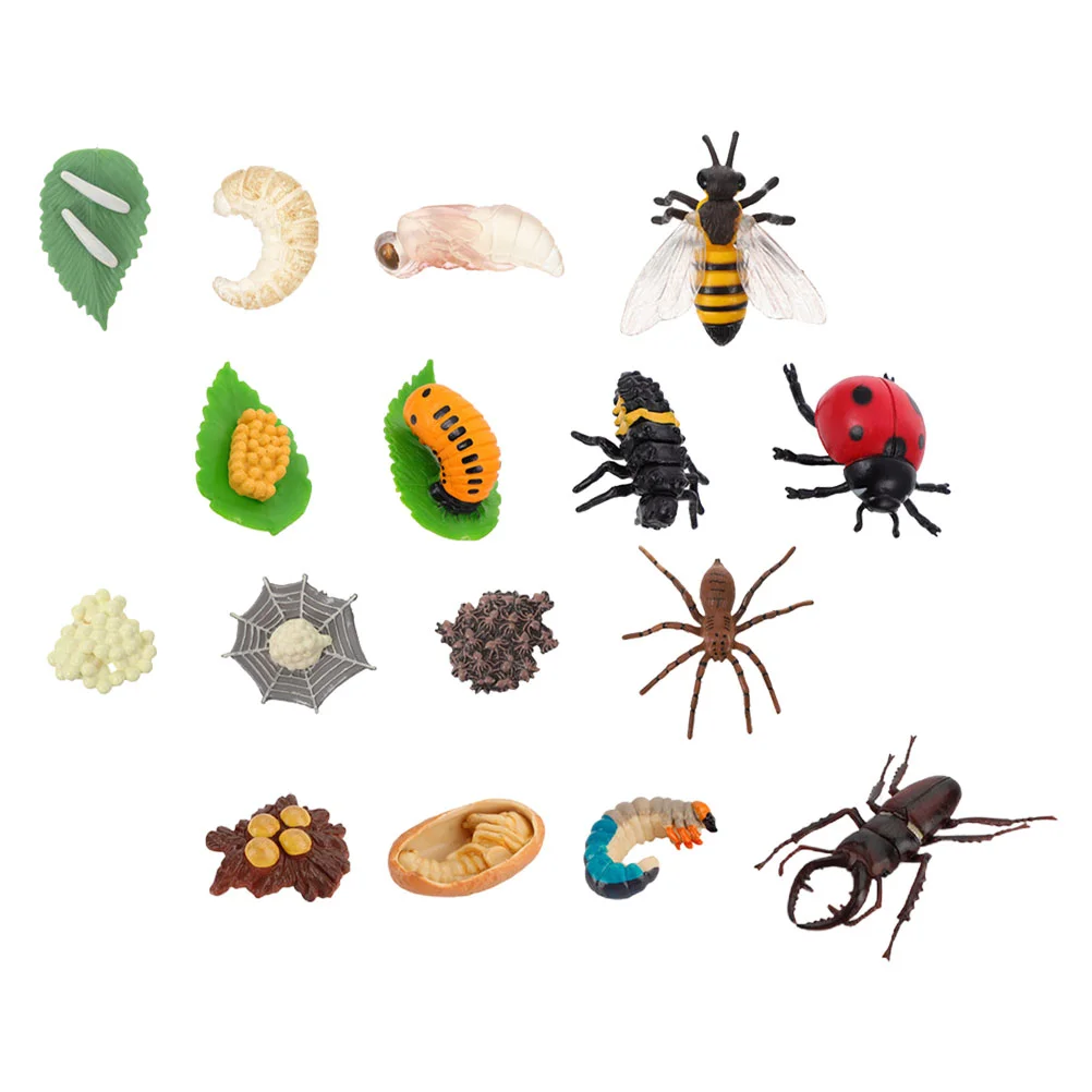 Animal Growth Cycle Insect Model Kids Cognitive Toys Animals Display Models Life Simulation Ornaments Enlightenment
Animal Growth Cycle Insect Model Kids Cognitive Toys Animals Display Models Life Simulation Ornaments Enlightenment