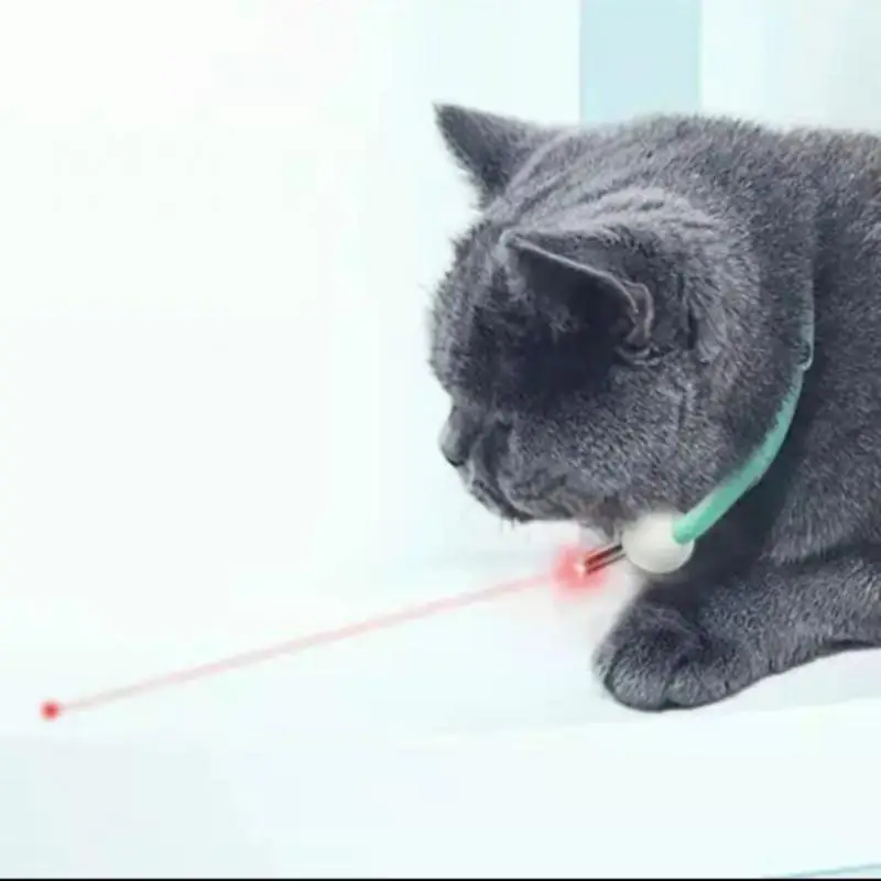 24 Hours After Charging Intelligent Laser Collar Cat Teaser Laser Toy Cat Accessory Type-c Rechargeable Cat Teaser Cat Toys
24 Hours After Charging Intelligent Laser Collar Cat Teaser Laser Toy Cat Accessory Type-c Rechargeable Cat Teaser Cat Toys