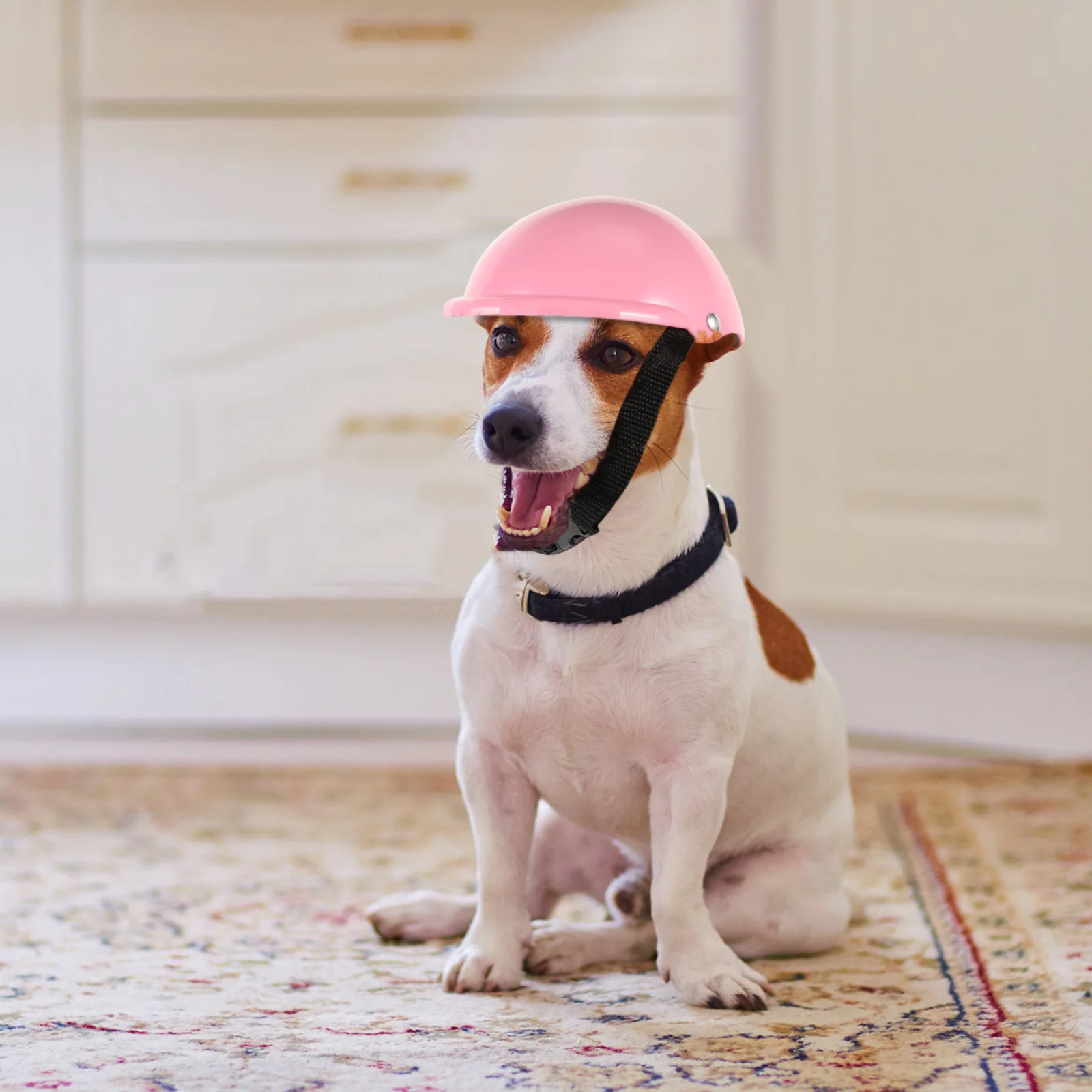 Pet Cool Cap Chihuahua Doggie Hardhat Bike Toy Pets Funny Dog Baseball Cap Motorcycle
Pet Cool Cap Chihuahua Doggie Hardhat Bike Toy Pets Funny Dog Baseball Cap Motorcycle
