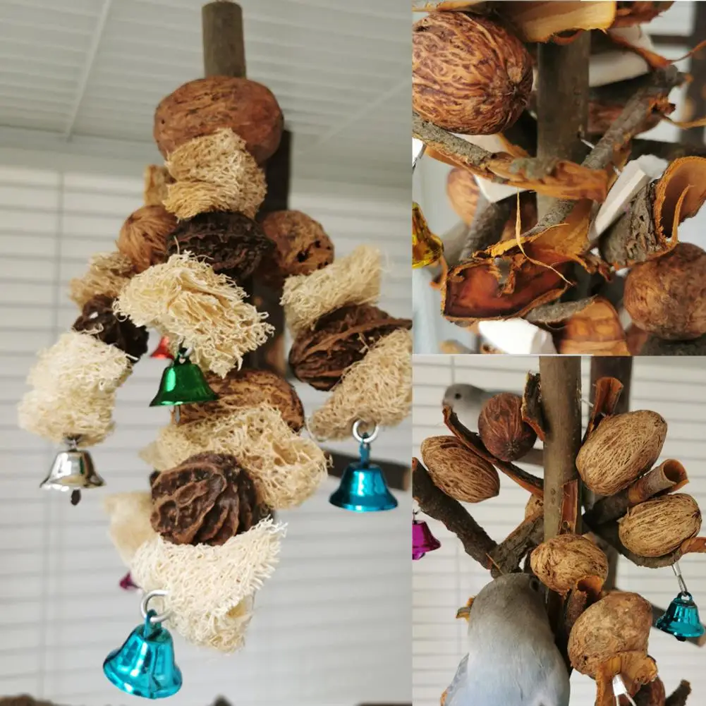 Eco-friendly Parrot Chew Toy Creative Bird Toy Easy Installation Bird Parrot Cage Foraging Toy Scratch-resistant
Eco-friendly Parrot Chew Toy Creative Bird Toy Easy Installation Bird Parrot Cage Foraging Toy Scratch-resistant