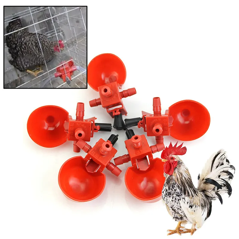 5Pcs Feed Automatic Bird Coop Poultry Chicken Fowl Drinker Water Drinking Cups Drop Shipping
5Pcs Feed Automatic Bird Coop Poultry Chicken Fowl Drinker Water Drinking Cups Drop Shipping