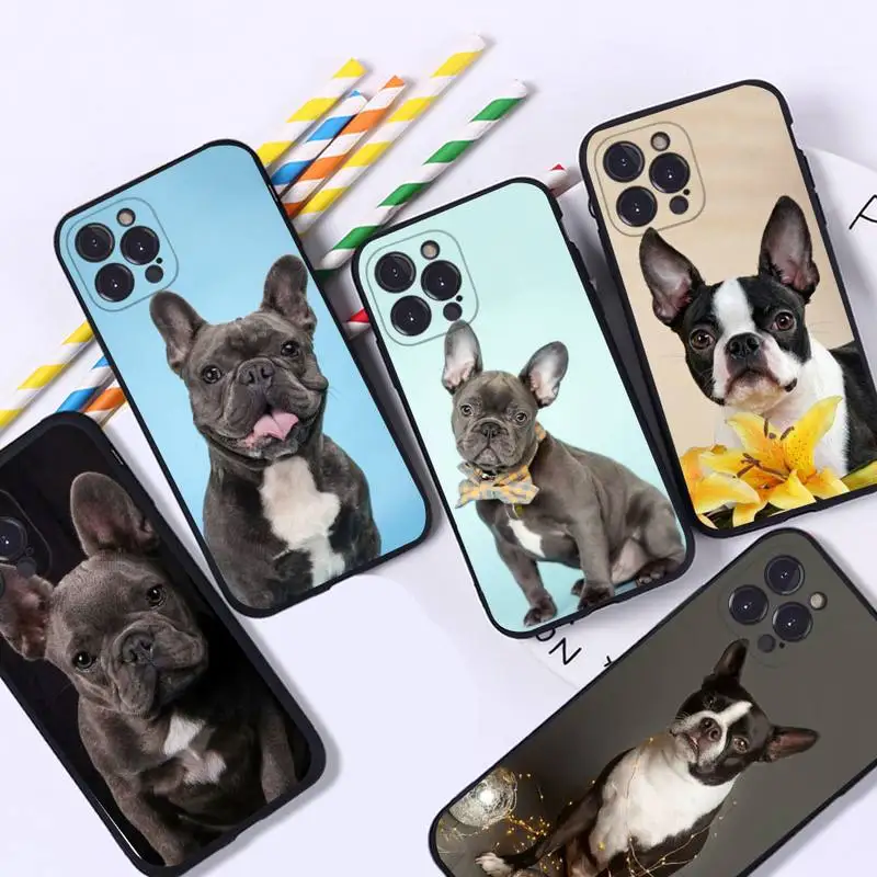 French Bulldog Dog Phone Case For iPhone 8 7 6 6S Plus X SE 2020 XR XS 14 11 12 13 Mini Pro Max Mobile Case
French Bulldog Dog Phone Case For iPhone 8 7 6 6S Plus X SE 2020 XR XS 14 11 12 13 Mini Pro Max Mobile Case
