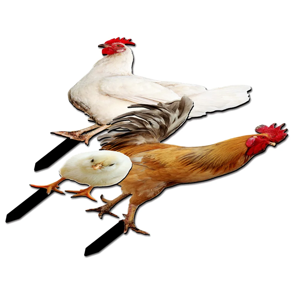 Yard Silhouette Stake Garden Chicken Decors Lawn Vivid Stakes Decorative Simulation Insert Outdoor Ornament Sign
Yard Silhouette Stake Garden Chicken Decors Lawn Vivid Stakes Decorative Simulation Insert Outdoor Ornament Sign