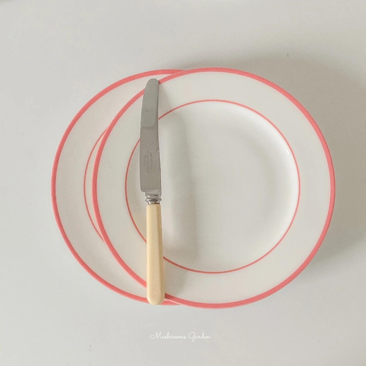 Mushrooms Garden Korean Minimalist Style French Retro Pink Lines Spaghetti Plate Dessert Cake Fruit Plate Decoration
Mushrooms Garden Korean Minimalist Style French Retro Pink Lines Spaghetti Plate Dessert Cake Fruit Plate Decoration