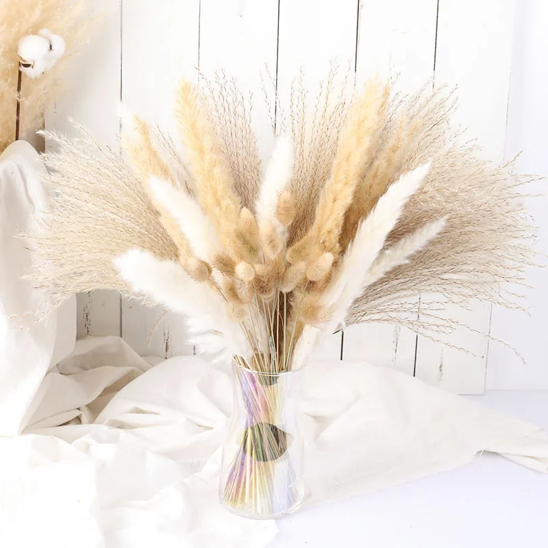Natural Pampas Grass Wedding Dried Flower Bouquet,Pampas Decorativ Reed for Boho Home Party Decor Decoration Arrangements
Natural Pampas Grass Wedding Dried Flower Bouquet,Pampas Decorativ Reed for Boho Home Party Decor Decoration Arrangements