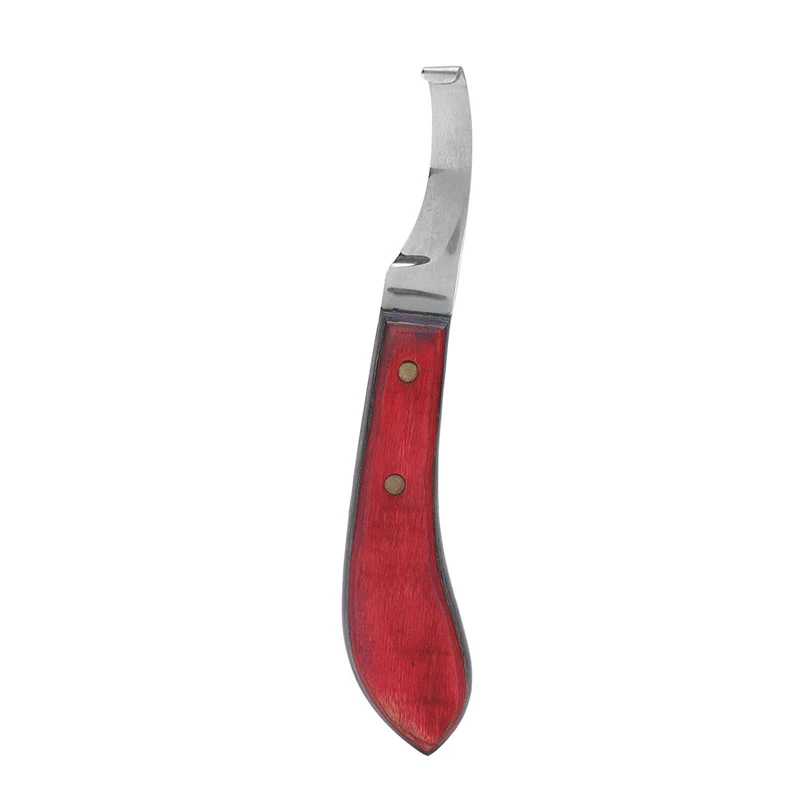 Hoof Knife Farrier Hoof Cleaning Tool Equestrian Room Supplies Horseshoe Repair for Animal Horses
Hoof Knife Farrier Hoof Cleaning Tool Equestrian Room Supplies Horseshoe Repair for Animal Horses