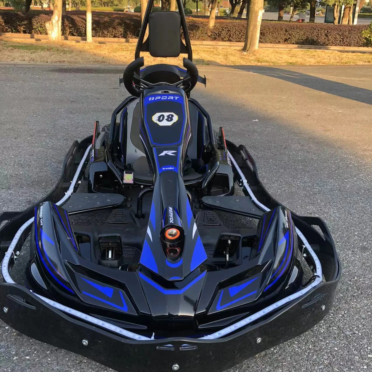 Hot Sale Go Kart Pro high speed kids racing go karting adult racing go kart for sale max speed 60km/h
Hot Sale Go Kart Pro high speed kids racing go karting adult racing go kart for sale max speed 60km/h