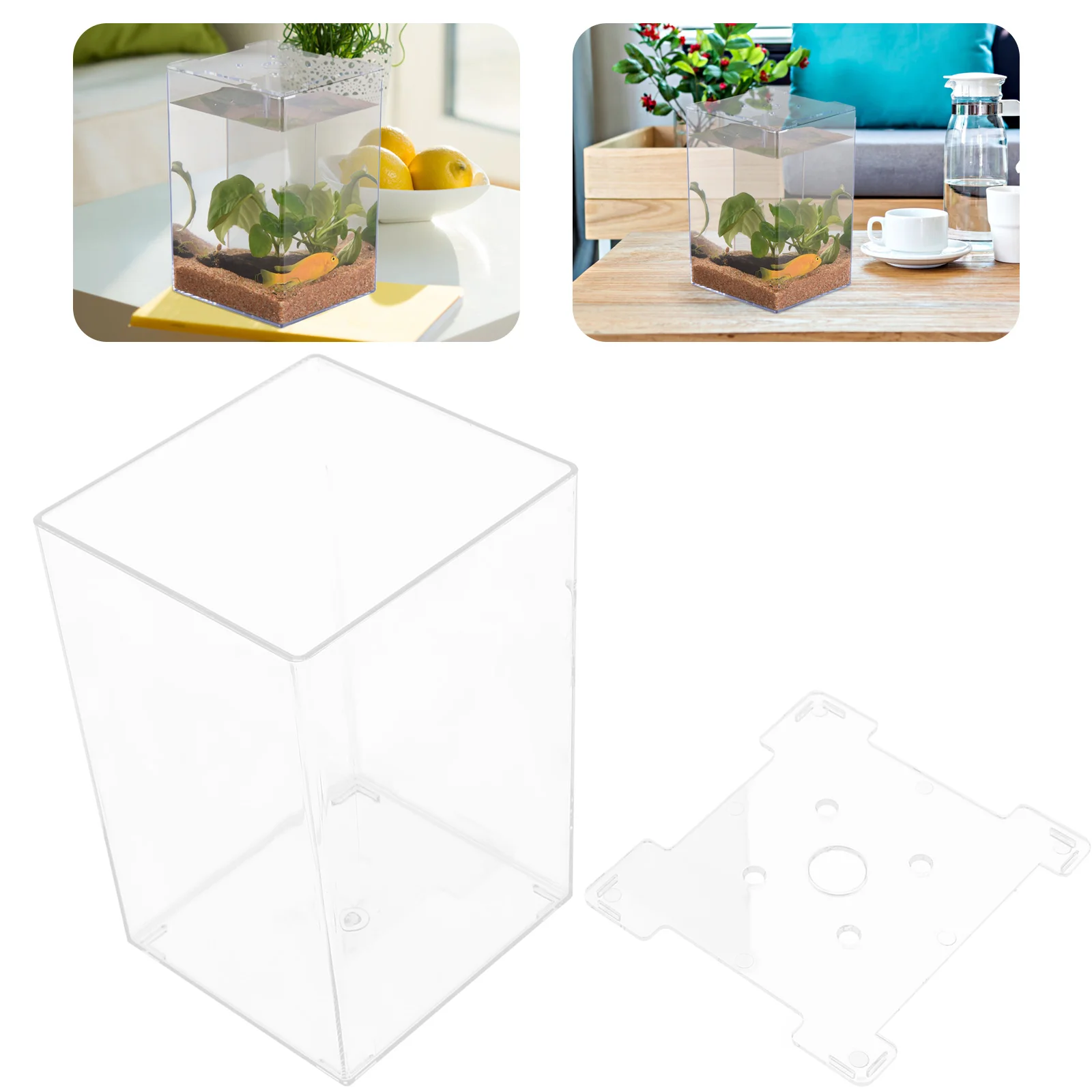 Tank Fish Box Aquarium Goldfish Transparent Small Betta Incubator Clear Bowl Divider Hatching Breeding Shrimp Hatchery Isolation
Tank Fish Box Aquarium Goldfish Transparent Small Betta Incubator Clear Bowl Divider Hatching Breeding Shrimp Hatchery Isolation