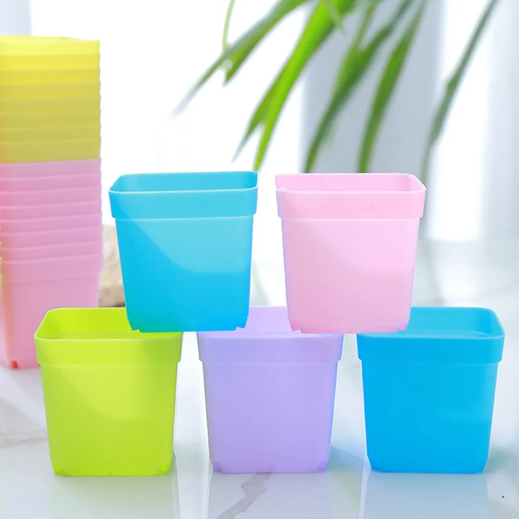 10pcs Mini Basin Square Flower Pot Succulent Plant Trays Home Office Decor DIY Keep Soil Drained Ventilated Color Mixing
10pcs Mini Basin Square Flower Pot Succulent Plant Trays Home Office Decor DIY Keep Soil Drained Ventilated Color Mixing