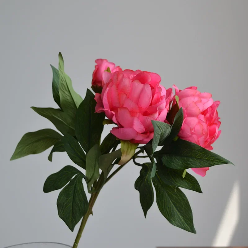50 см простой искусственный цветок в европейском стиле с 3 головками пиона украшение дома шелковый цветок реквизит для фотосъемки
50 см простой искусственный цветок в европейском стиле с 3 головками пиона украшение дома шелковый цветок реквизит для фотосъемки