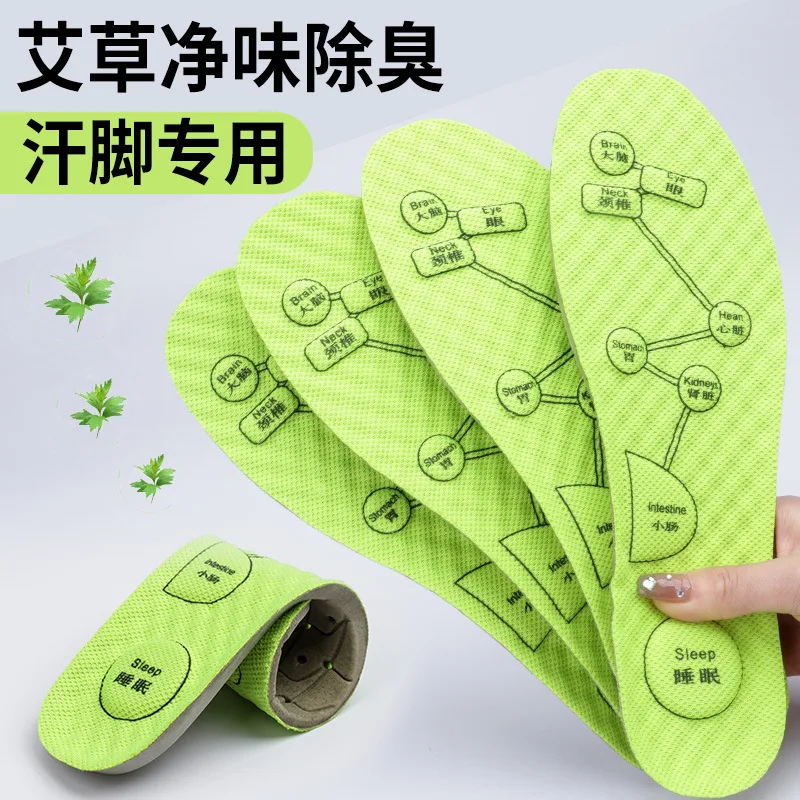 3 Pairs Wormwood Insoles Sweat Breathable Sweat Absorption Shock Absorption Deodorization Fragrance High Elastic Massage
3 Pairs Wormwood Insoles Sweat Breathable Sweat Absorption Shock Absorption Deodorization Fragrance High Elastic Massage