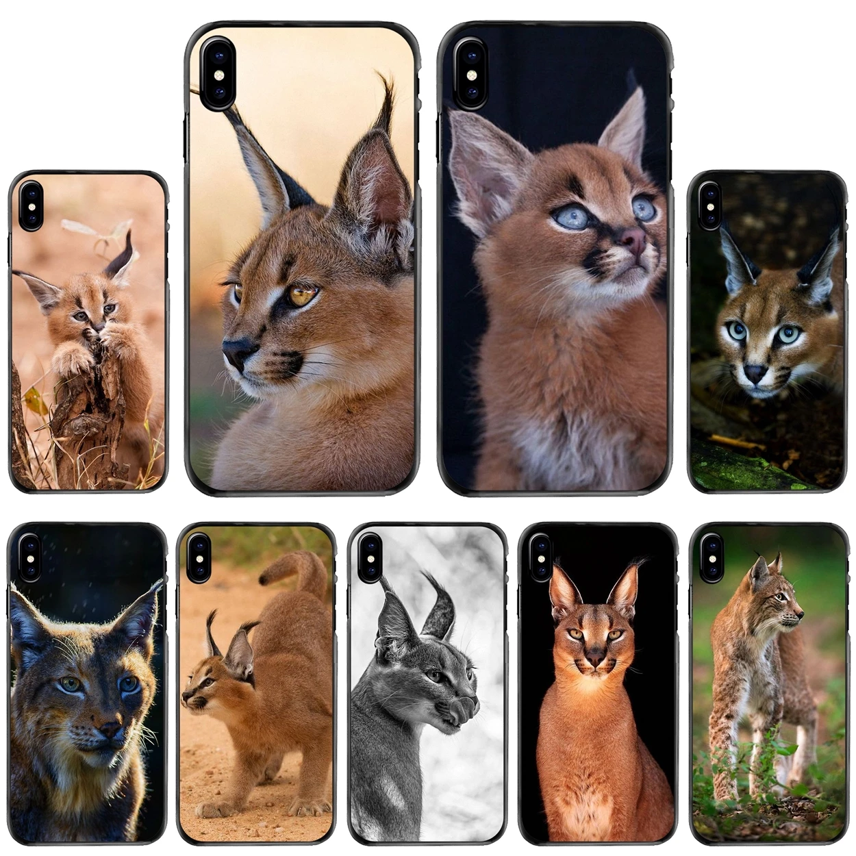 For Apple iPhone 11 12 13 14 Pro MAX Mini 5 5S SE 6 6S 7 8 Plus 10 X XR XS Africa Lynx Caracals kitten Poster Hard Case Cover
For Apple iPhone 11 12 13 14 Pro MAX Mini 5 5S SE 6 6S 7 8 Plus 10 X XR XS Africa Lynx Caracals kitten Poster Hard Case Cover