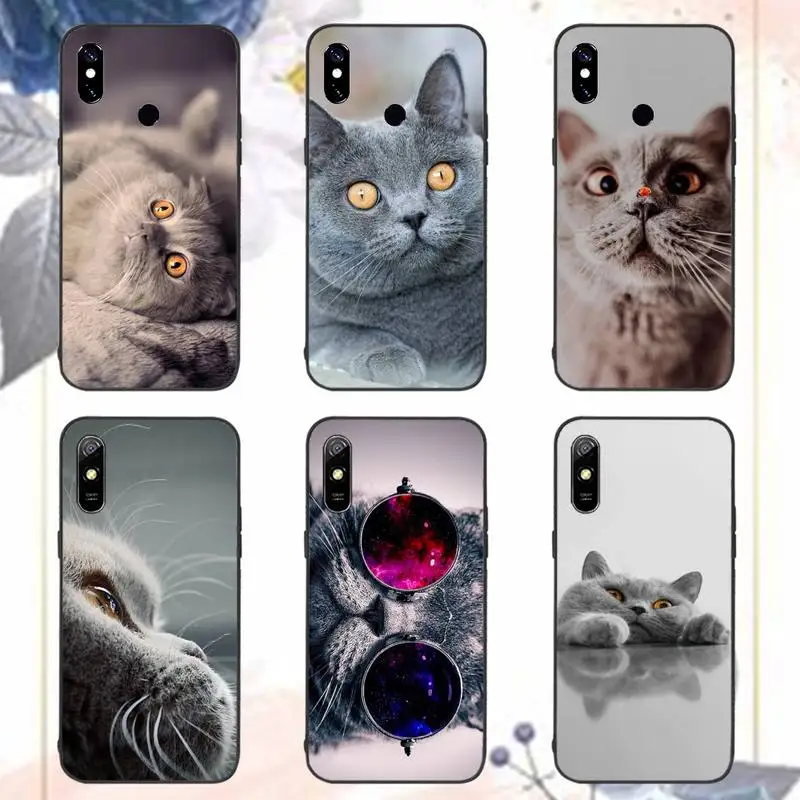Chartreux cat cute animal Phone Case For Xiaomi Redmi note 7 8 9 11 i t s 10 A poco f3 x3 pro lite funda shell coque cover
Chartreux cat cute animal Phone Case For Xiaomi Redmi note 7 8 9 11 i t s 10 A poco f3 x3 pro lite funda shell coque cover