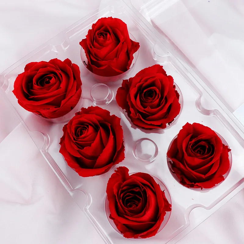 Неувядающая Эквадор Роза класса B 6-7 см, вечная большая роза, сохраняющий свежесть цветок, материал для украшения «сделай сам», Роза
Неувядающая Эквадор Роза класса B 6-7 см, вечная большая роза, сохраняющий свежесть цветок, материал для украшения «сделай сам», Роза